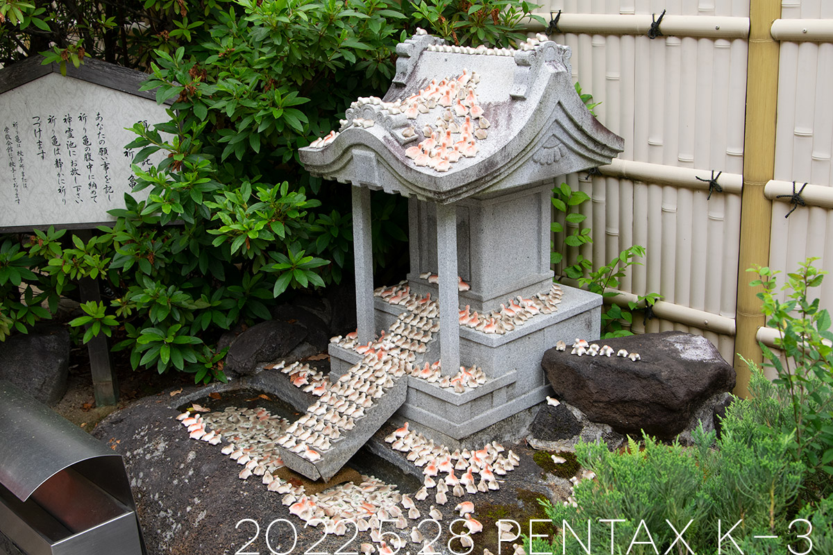 石切神社の亀