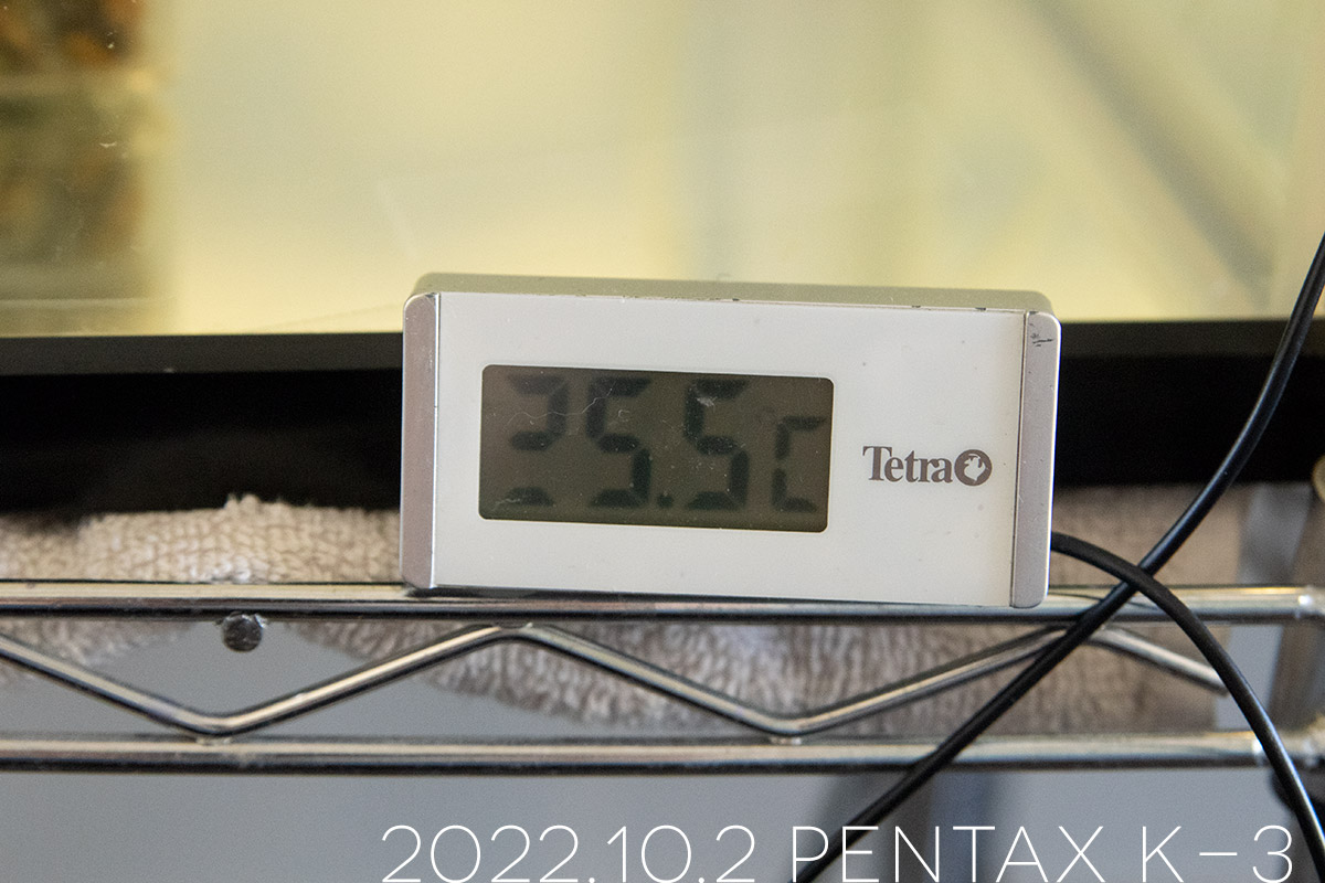 テトラのデジタル水温計